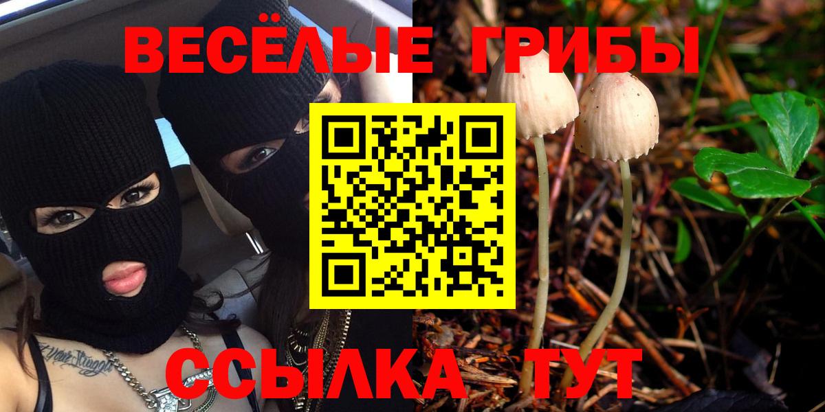 Псилоцибиновые грибы GOLDEN TEACHER Химки